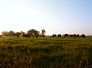 20110710_23