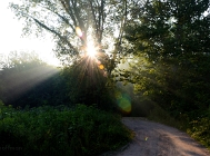 20110710_40