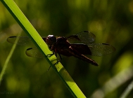 20110710_97