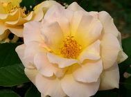 20110714_3