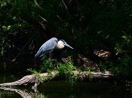 20110715_28