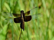 20110715_52