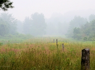 20110716_117