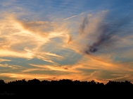 20110716_28