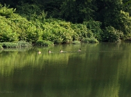 20110717_133