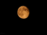 20110717_57