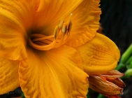 20110720_14