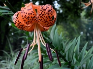 20110720_27