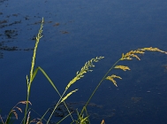 20110721_55