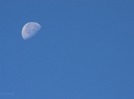 20110721_79
