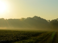 20110721_9