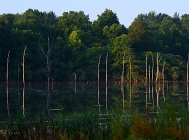 20110723_14