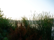 20110723_19