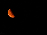 20110723_221