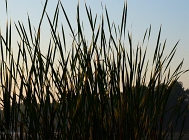 20110723_25
