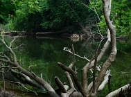 20110723_312