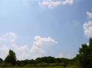 20110723_351