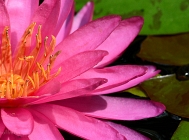20110726_58