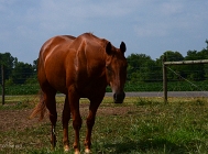 20110726_88