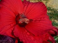 20110727_33