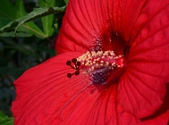 20110727_38