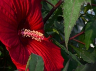 20110727_41
