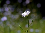 20110728_163
