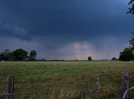 20110729_86
