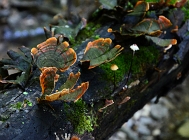 20110730_102