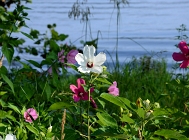 20110730_39