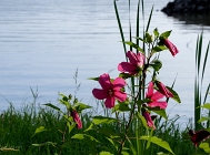 20110730_40