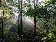 20110730_60