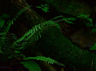 20110730_80