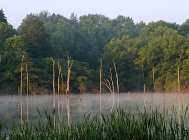 20110731_28