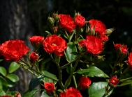 20110802_12