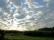 20110804_15