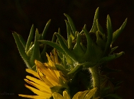 20110804_25