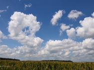 20110804_37