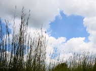 20110804_44