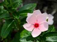 20110806_115