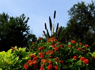 20110806_30