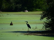 20110809_255