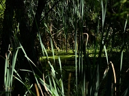 20110811_86