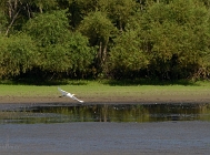 20110813_32
