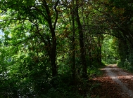 20110814_137