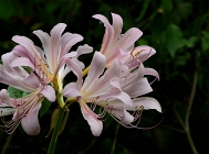 20110814_146