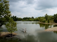 20110814_154