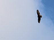 20110815_63