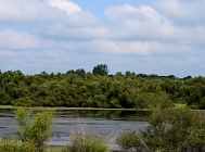 20110815_76