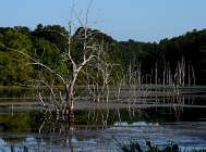 20110816_75